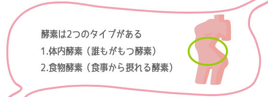 �y�f�͑̓��y�f�ƐH���y�f��2�^�C�v������